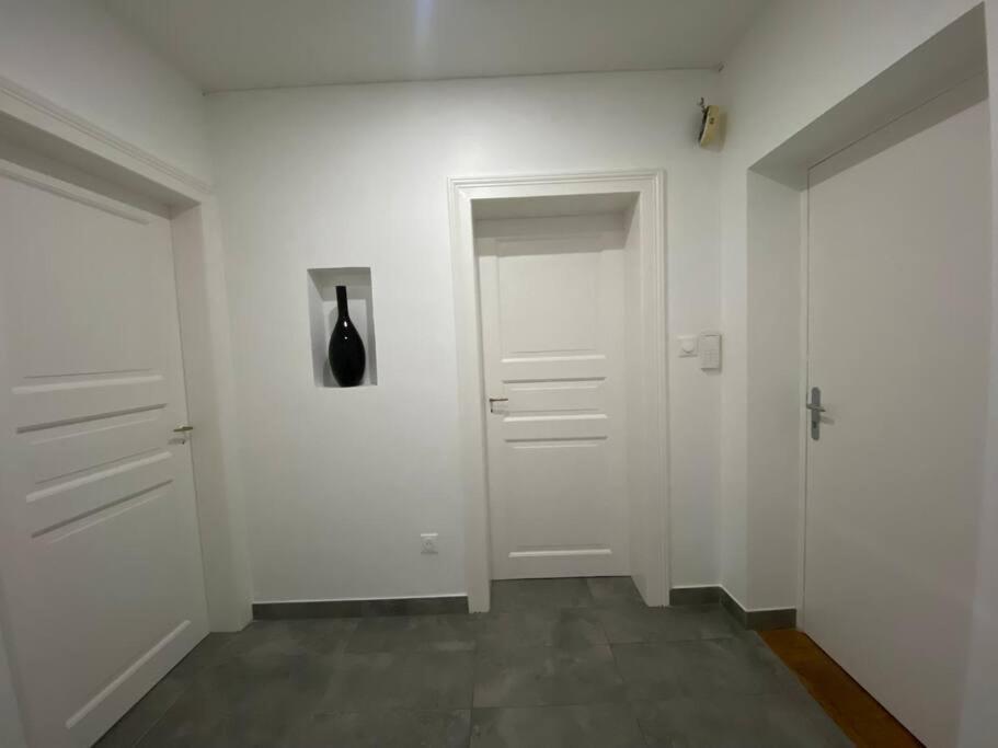 Le Confort D'Un Appartement Schiltigheim Eksteriør billede