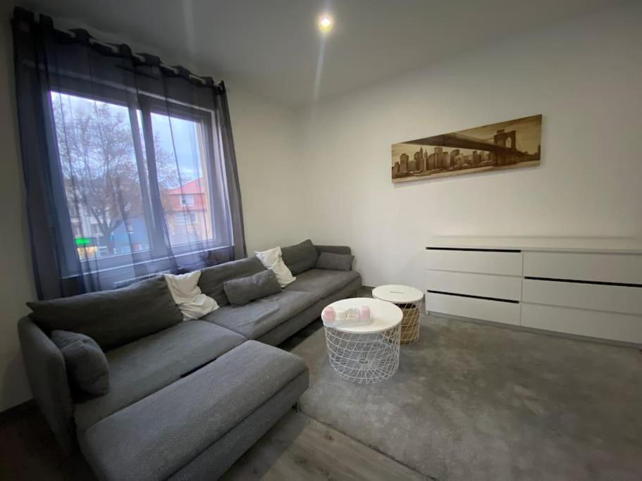 Le Confort D'Un Appartement Schiltigheim Eksteriør billede